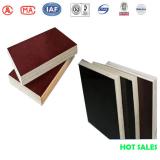 WBP phenolic high quality giga plywood prices 9